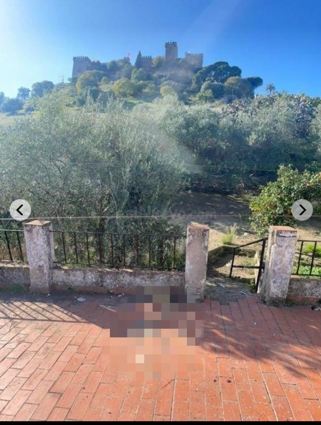 SE VENDE CASA SOLAR EN ALMODOVAR DEL RIO - 361m2 DE PARCELA - foto 3