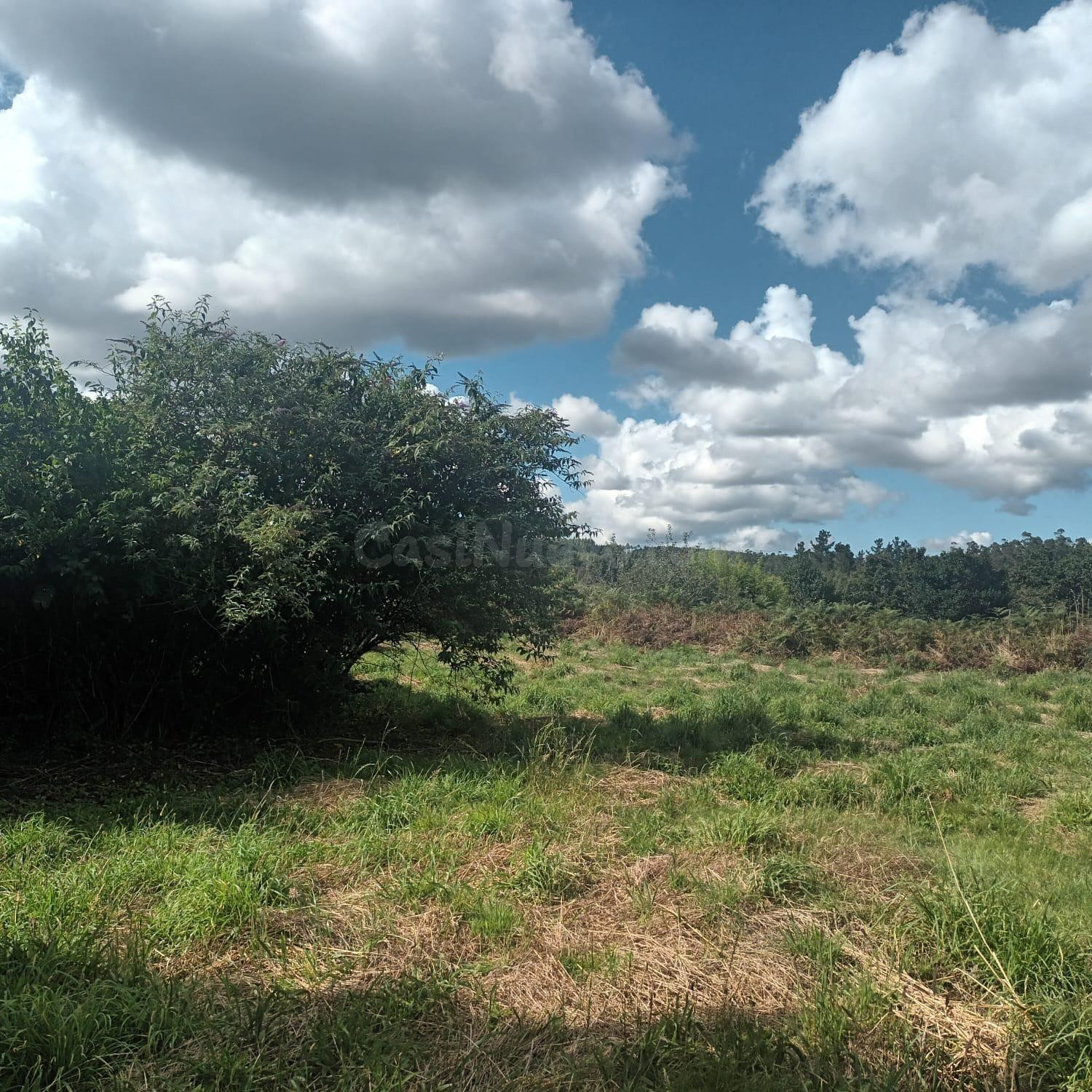 Casa Rural en Santa Comba: Oportunidad Única para Reformar - foto 4