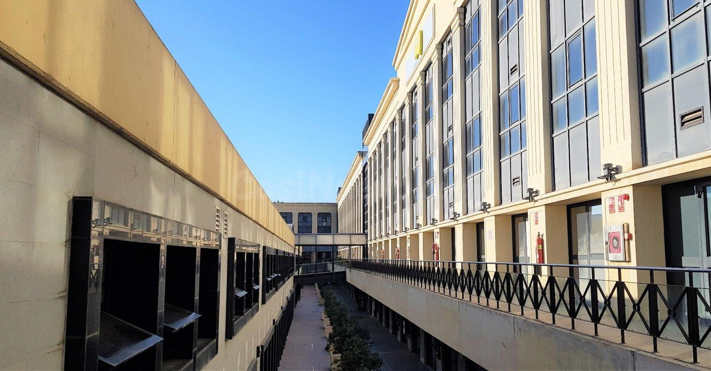 7 OFICINAS EN ZONA EMBLEMÁTICA DE SEVILLA, IDEAL PARA ENVERSIÓN O CENTRAL DE GRAN EMPRESA.