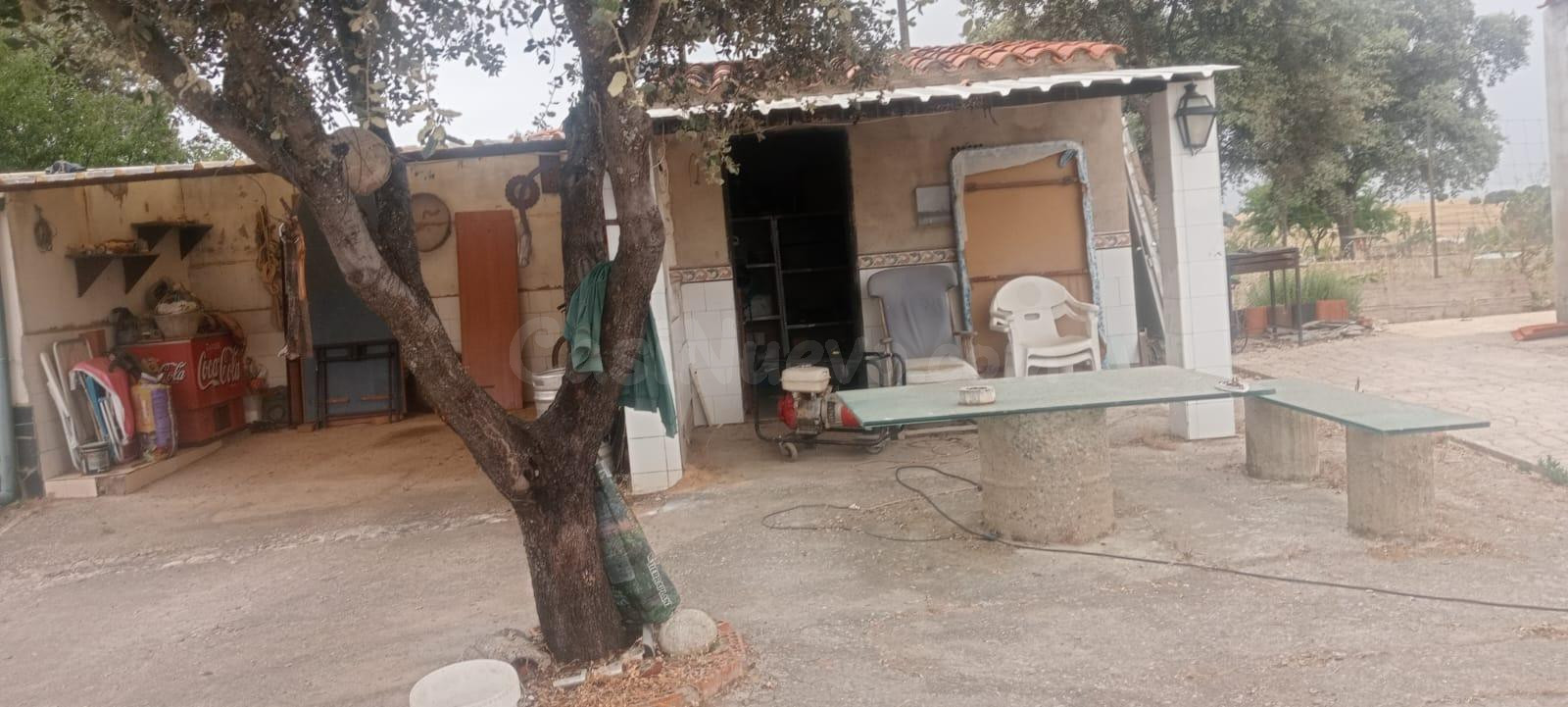 2 Casas de campo en 3.000 metros de parcela - foto 5
