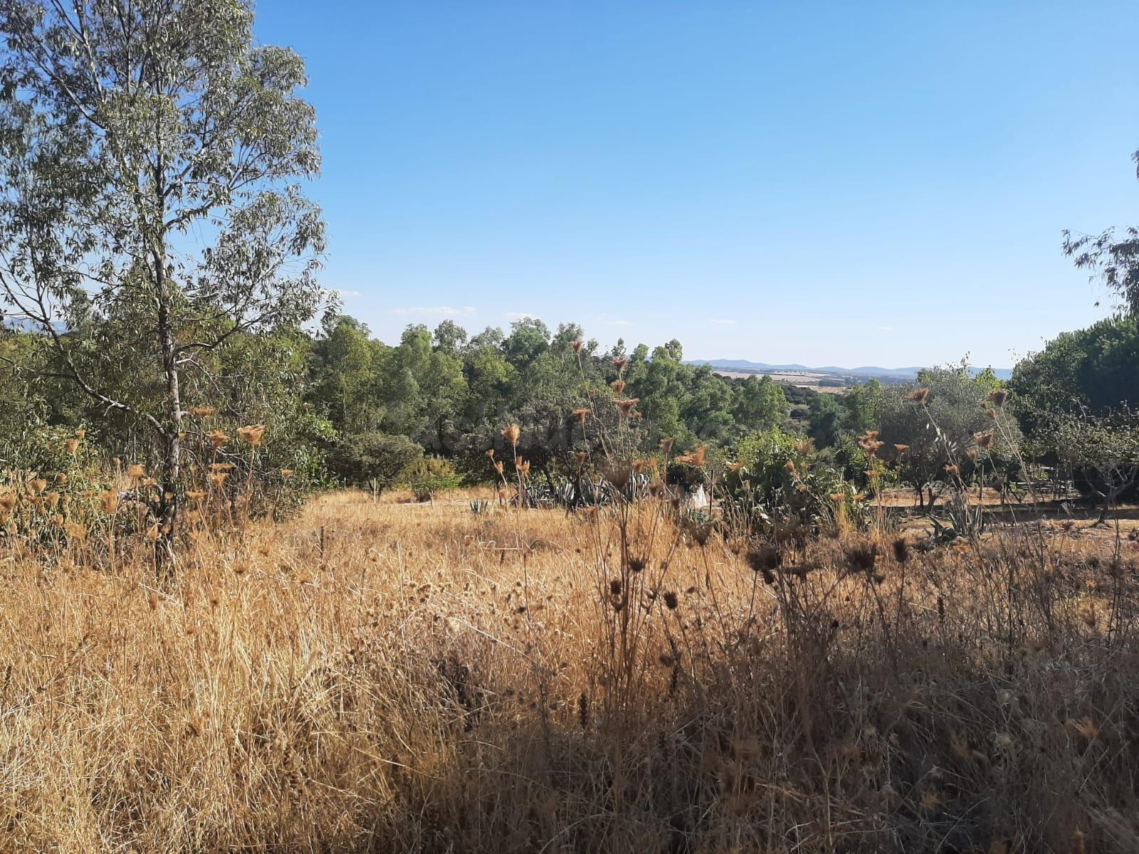 Parcela en el Pradillo