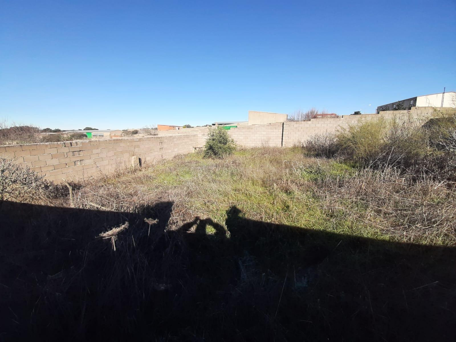 Parcela en Botija - foto 3