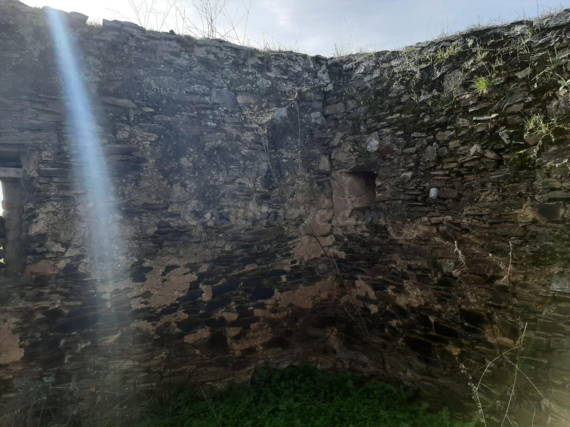 Olivar con una construcción para reformar de unos 26 metros - foto 2