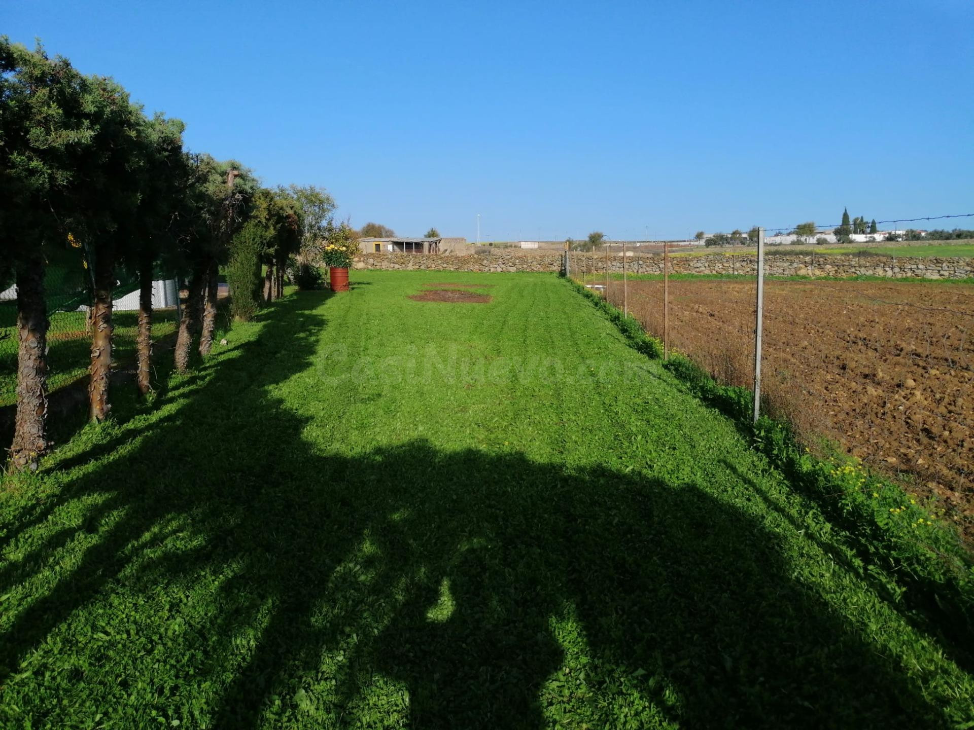 CASA DE CAMPO CON ESCRITURAS EN TORREMOCHA - foto 3