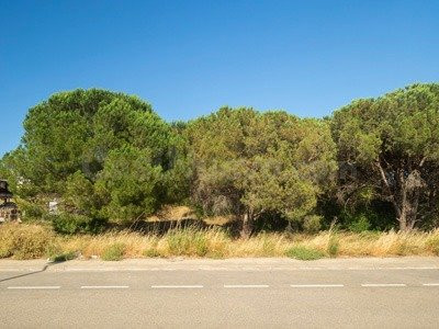 Terreno/s industrial/es de 800 m2 - foto 2