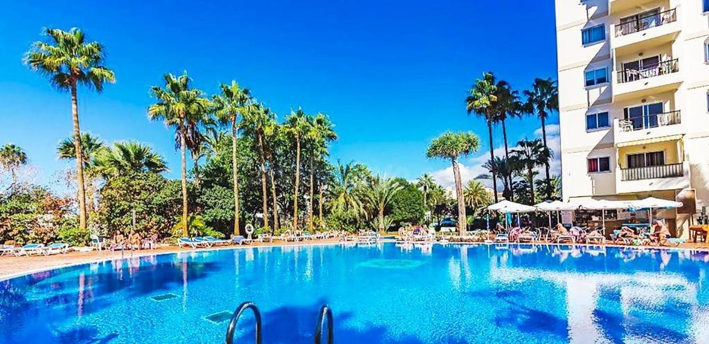 Estudio Reformado con Licencia Vacacional – Alta Rentabilidad en Playa Las Américas