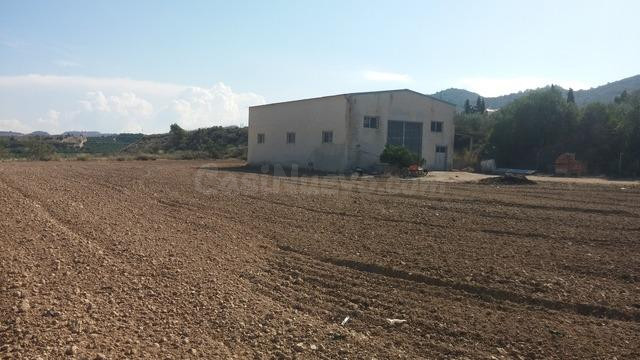 TERRENO RUSTICO EN ORIHUELA  TOTALMENTE VALLADO CON NAVE