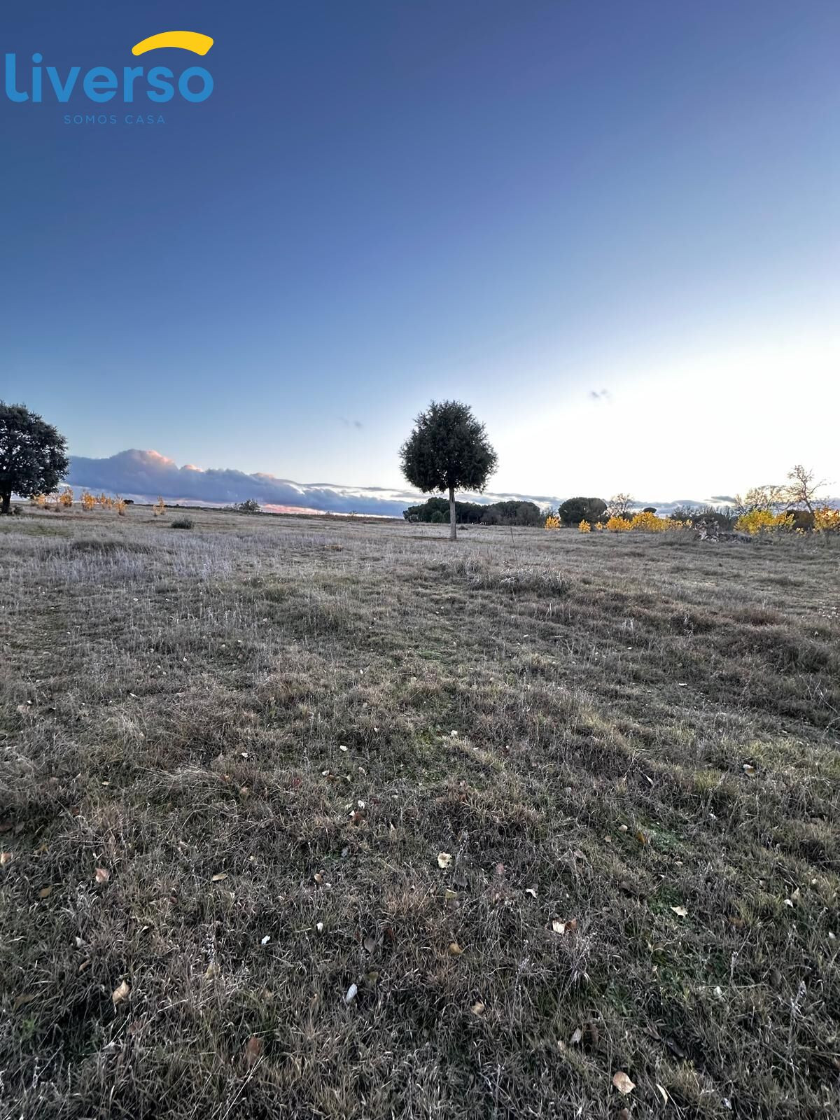 Terreno Rústico en Venta: ¡Oportunidad Única de Inversión! - foto 4