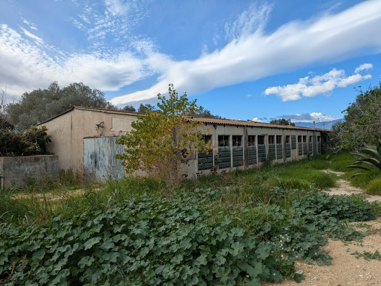 CASA / GRANJA A MASDENVERGE EN VENTA - foto 3