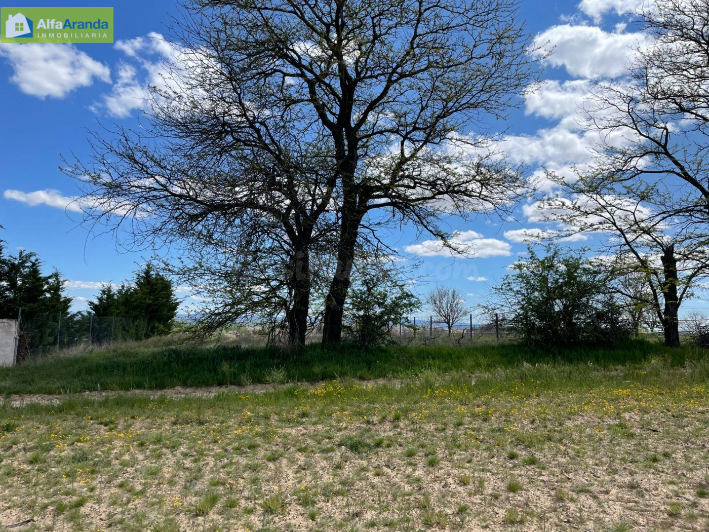FINCA RUSTICA CERCANA A ARANDA
