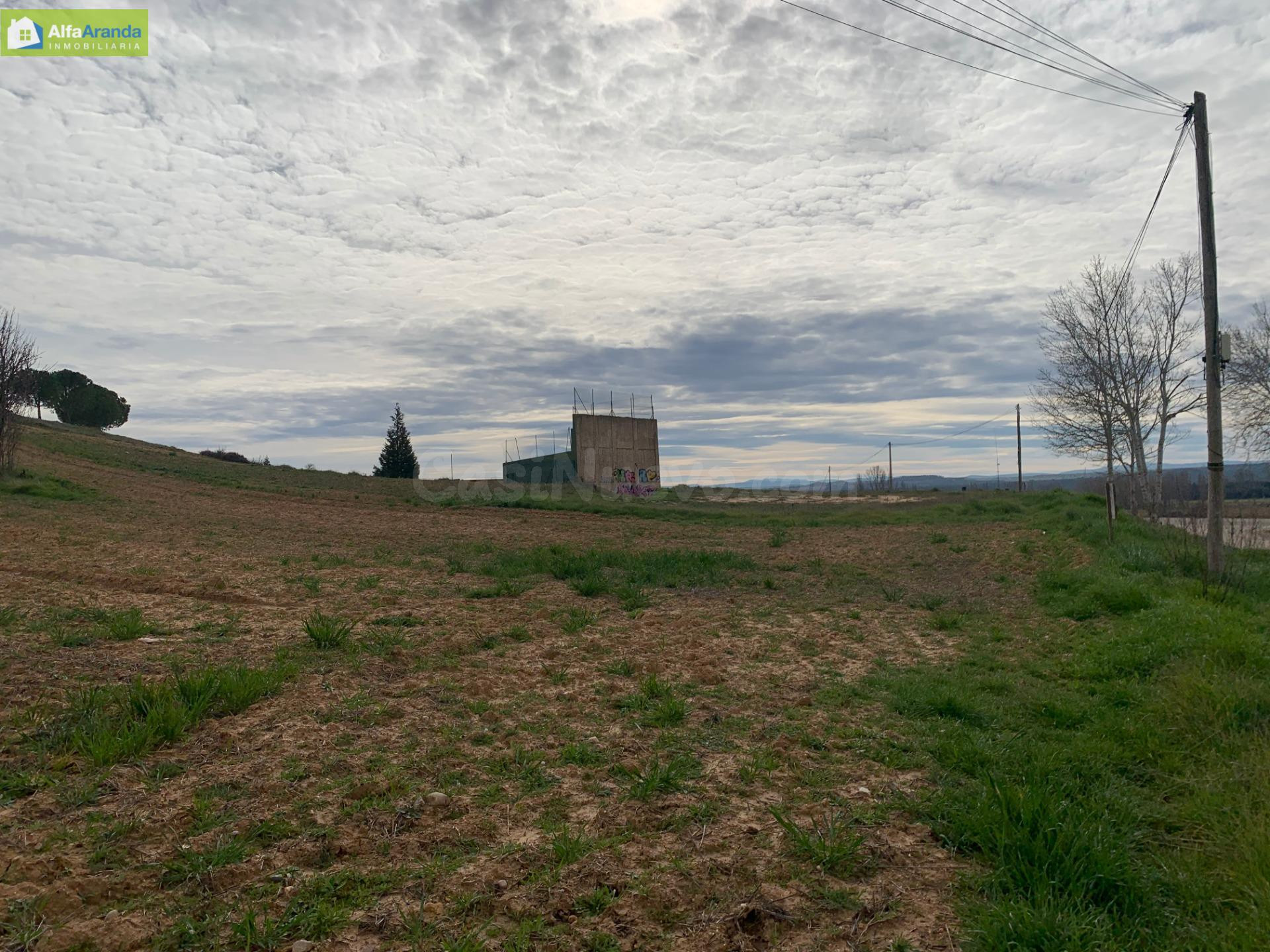 TERRENO URBANO EN VILLALBA DE DUERO - foto 4