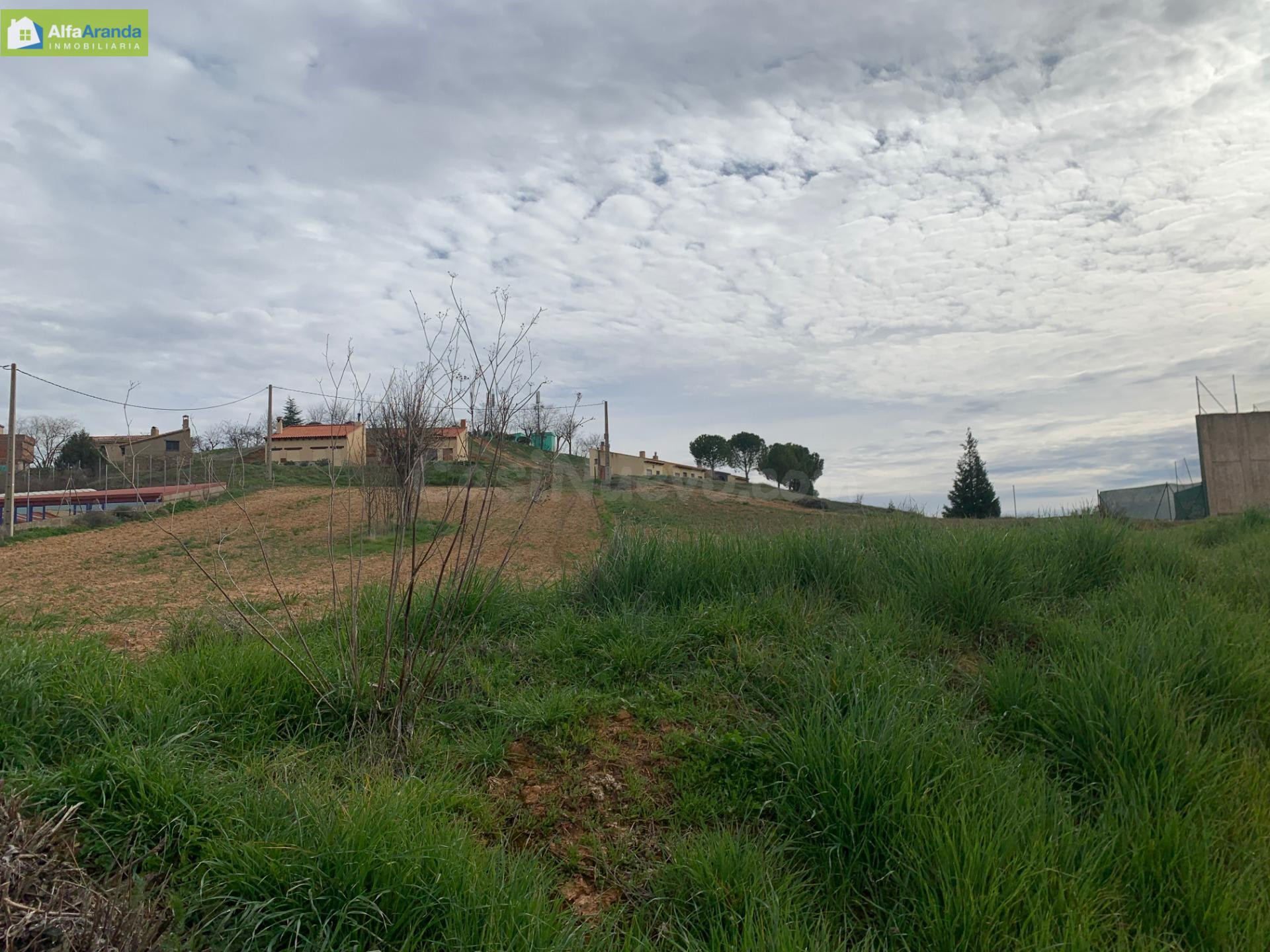 TERRENO URBANO EN VILLALBA DE DUERO - foto 5