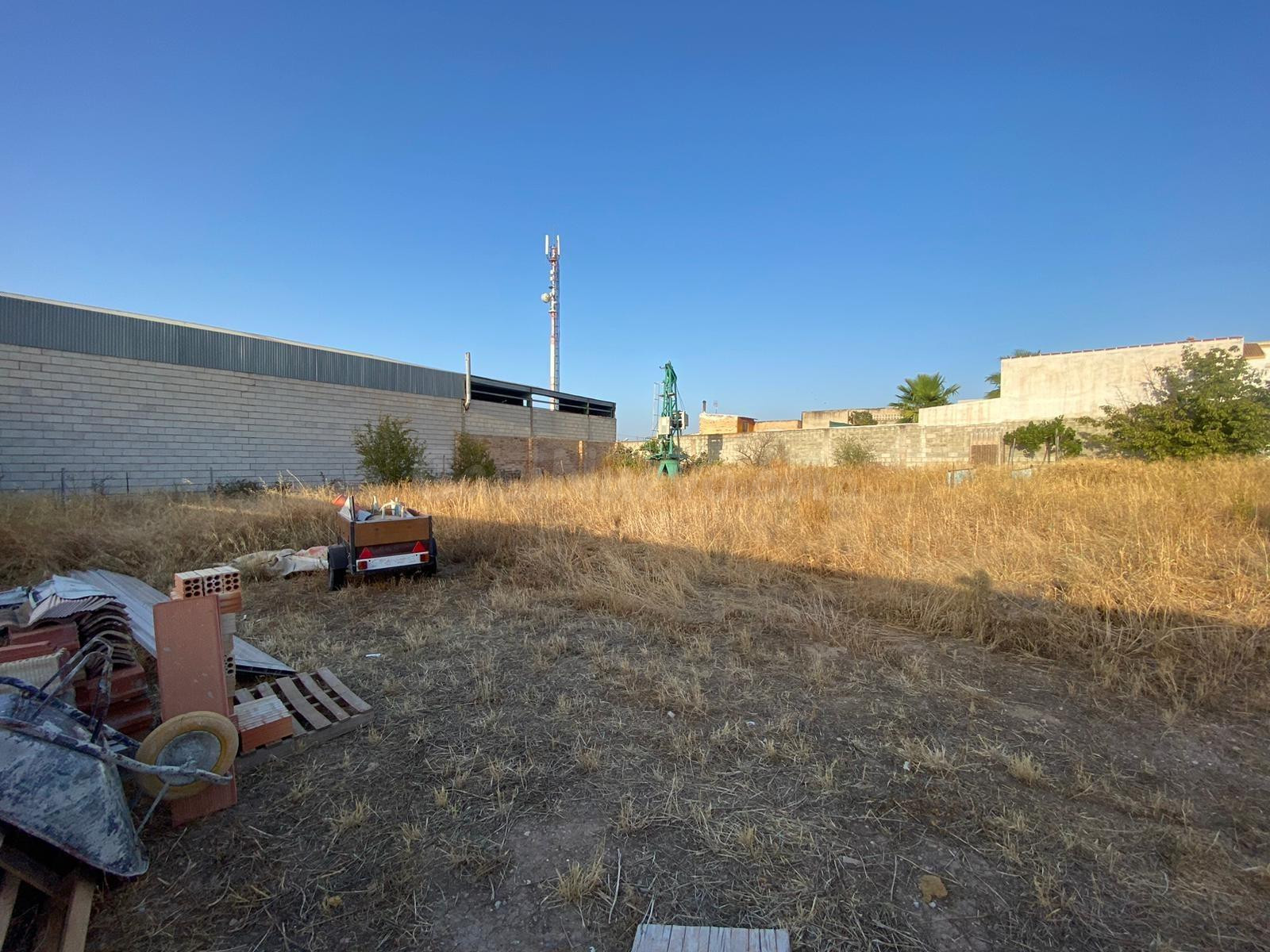 EN EXCLUSIVA AMPLIO SOLAR URBANO EN ALAMEDA¡¡¡¡¡¡¡¡¡¡¡¡¡¡¡¡ - foto 3