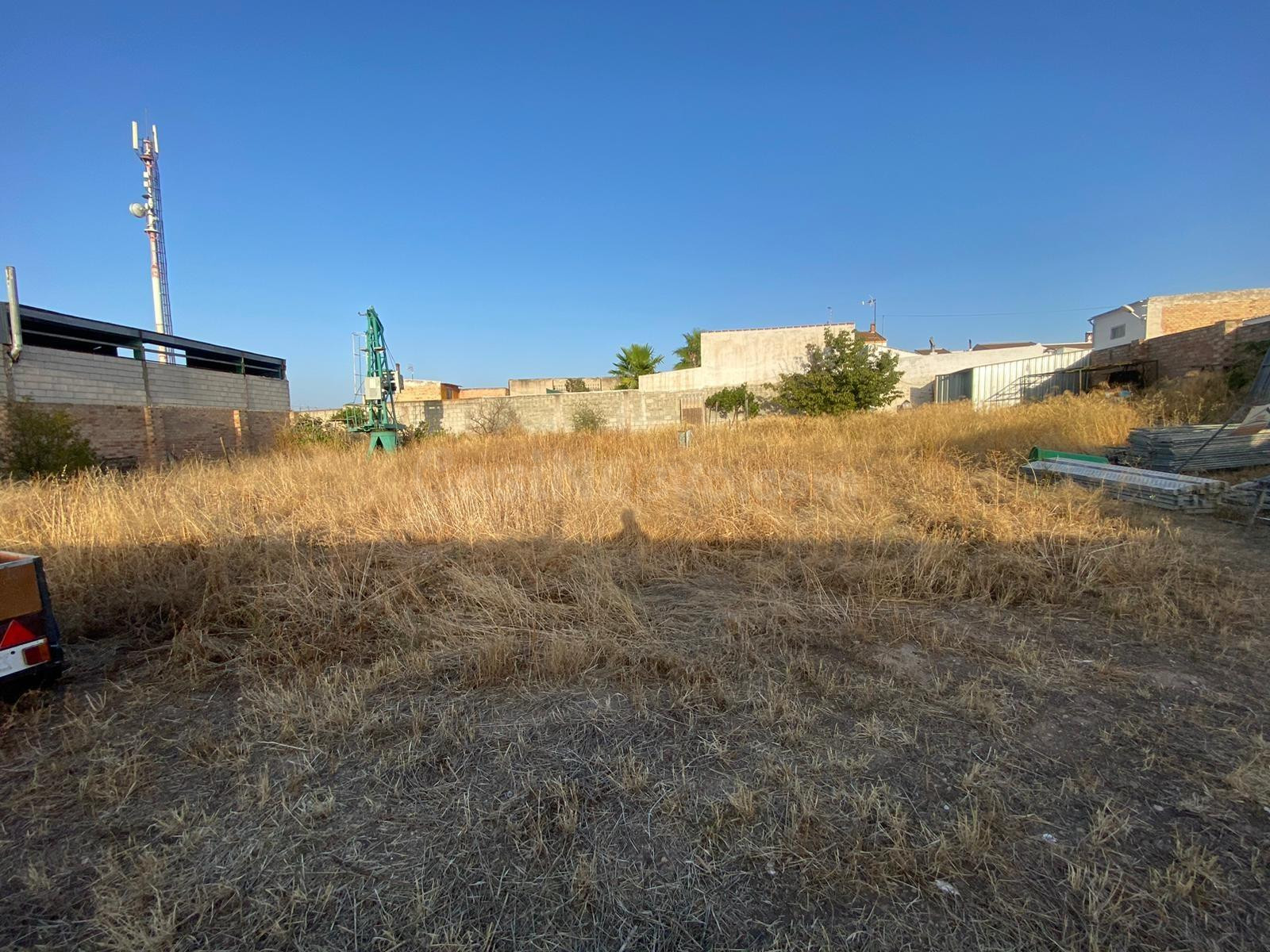 EN EXCLUSIVA AMPLIO SOLAR URBANO EN ALAMEDA¡¡¡¡¡¡¡¡¡¡¡¡¡¡¡¡ - foto 5