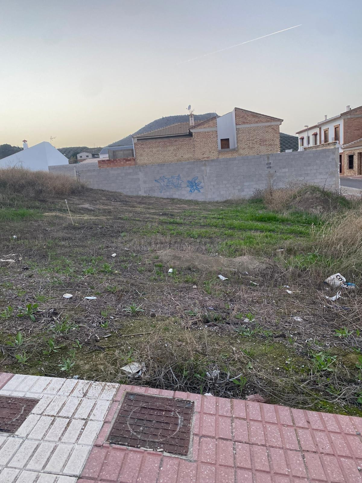 SOLAR EN ALAMEDA PUEBLO PUEDE SER TUYO¡¡¡¡ - foto 2