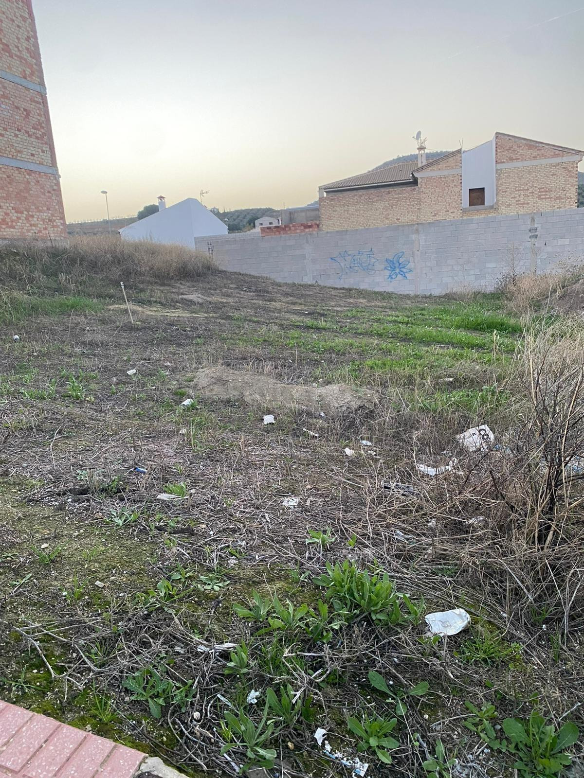 SOLAR EN ALAMEDA PUEBLO PUEDE SER TUYO¡¡¡¡ - foto 3