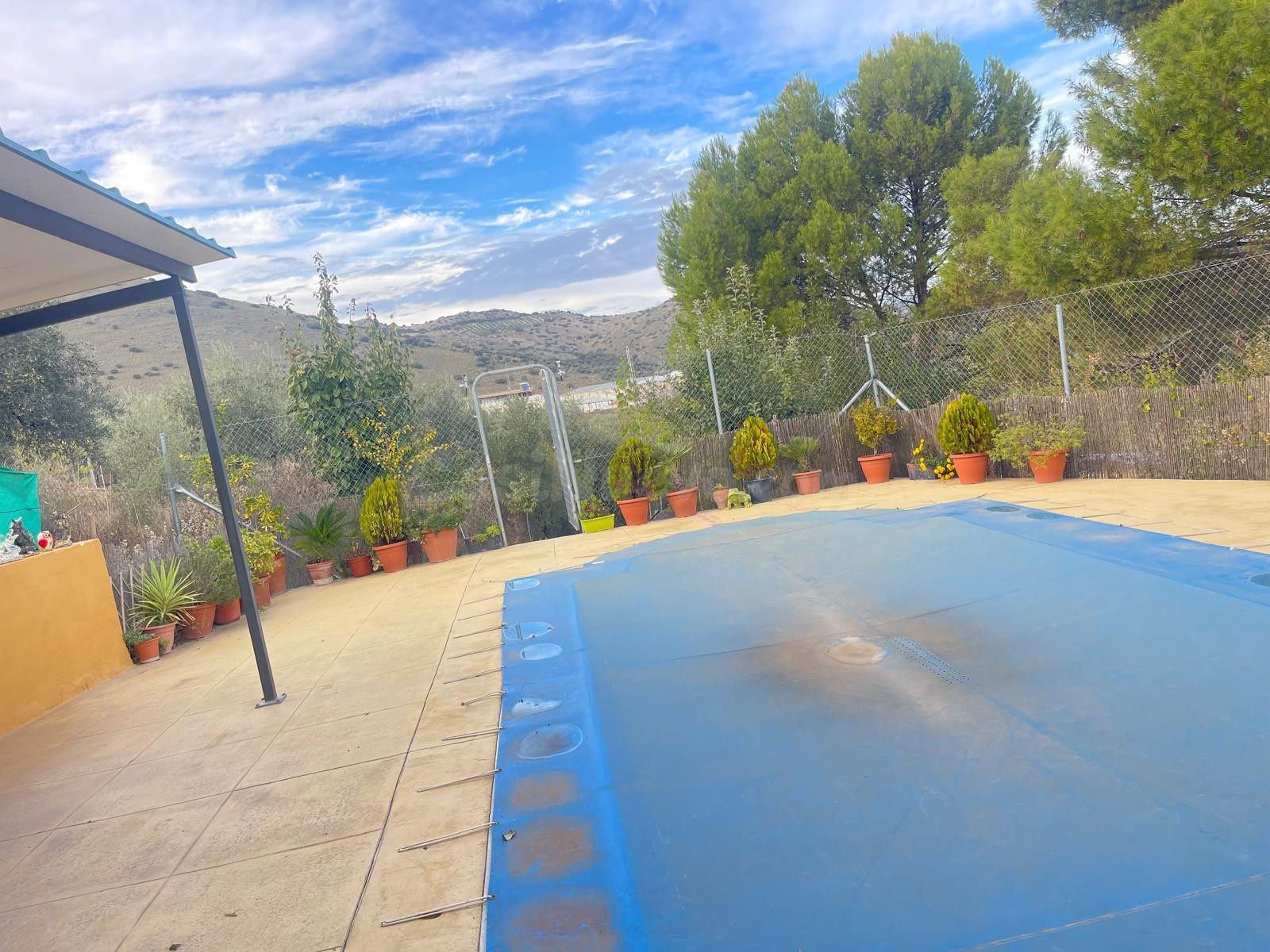 PARCELA RUSTICA CON VIVIENDA EN LA ZONA DE ARCHIDONA¡¡¡¡¡¡¡ - foto 2