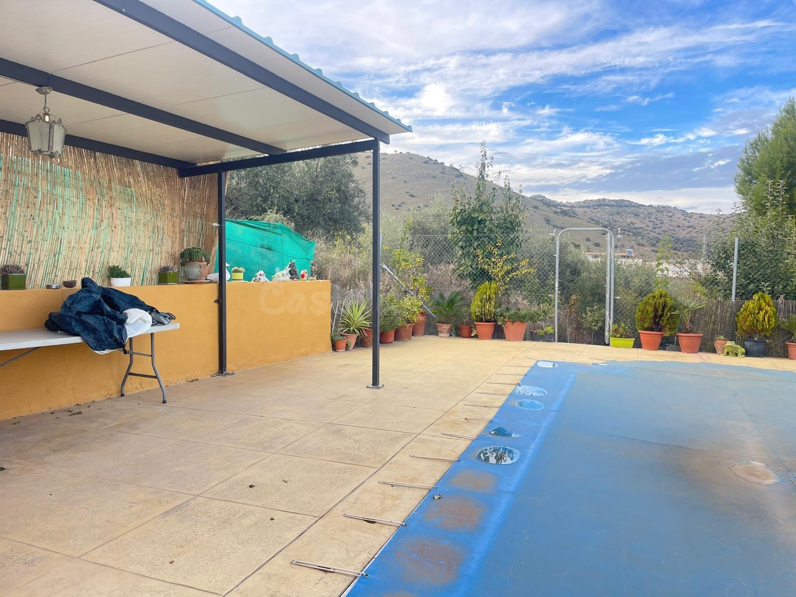PARCELA RUSTICA CON VIVIENDA EN LA ZONA DE ARCHIDONA¡¡¡¡¡¡¡ - foto 4