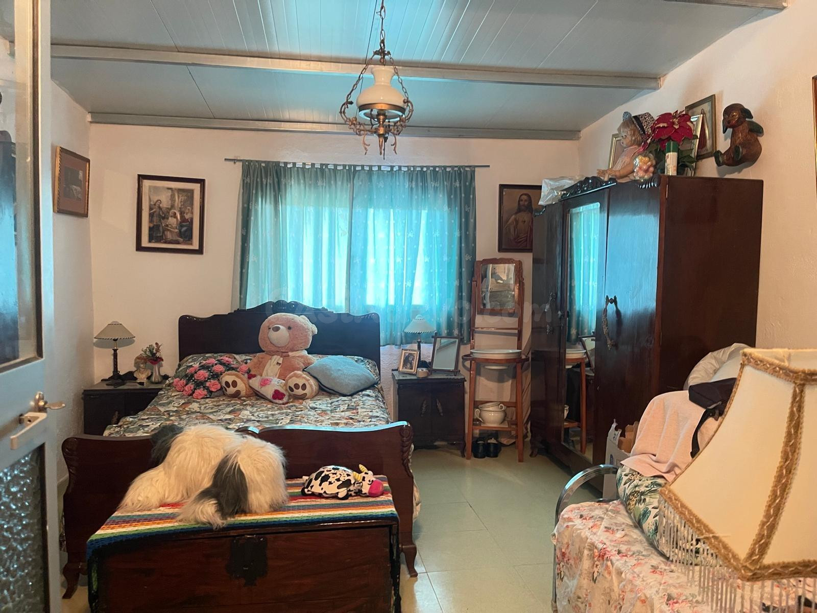 PARCELA RUSTICA CON VIVIENDA EN LA ZONA DE ARCHIDONA¡¡¡¡¡¡¡ - foto 5