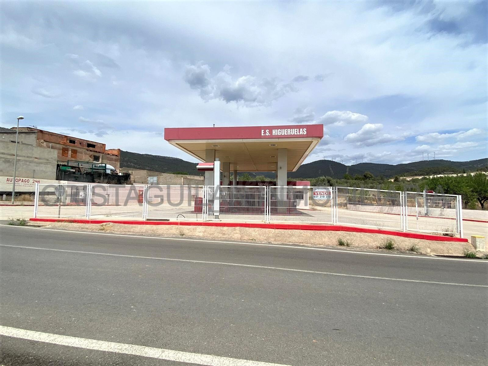 GASOLINERA EN VENTA EN HIGUERUELAS ¡OPORTUNIDAD DE NEGOCIO! - foto 2