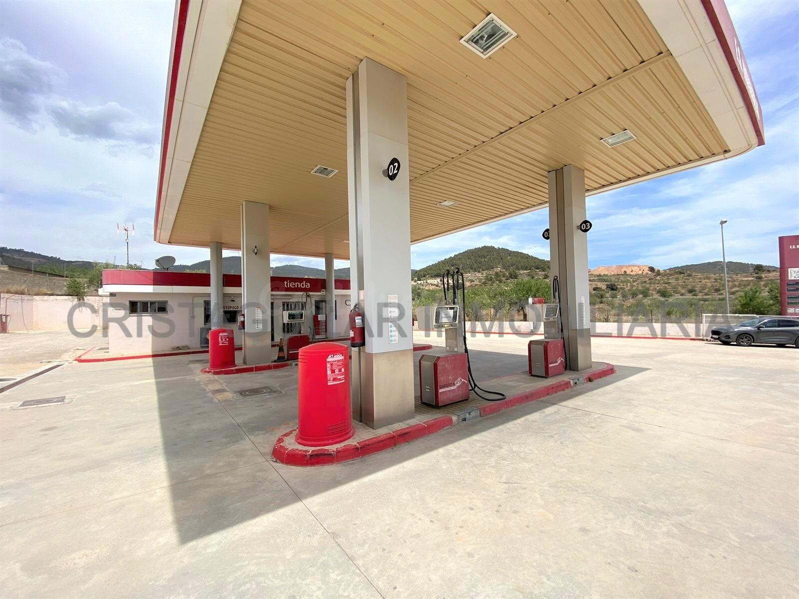 GASOLINERA EN VENTA EN HIGUERUELAS ¡OPORTUNIDAD DE NEGOCIO! - foto 3