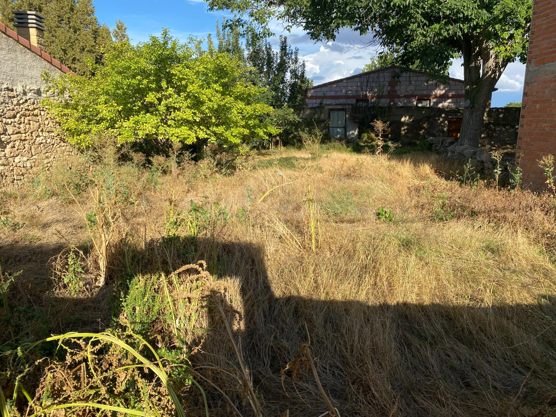 SE VENDE SOLAR EN FUENTES CLARAS - foto 2