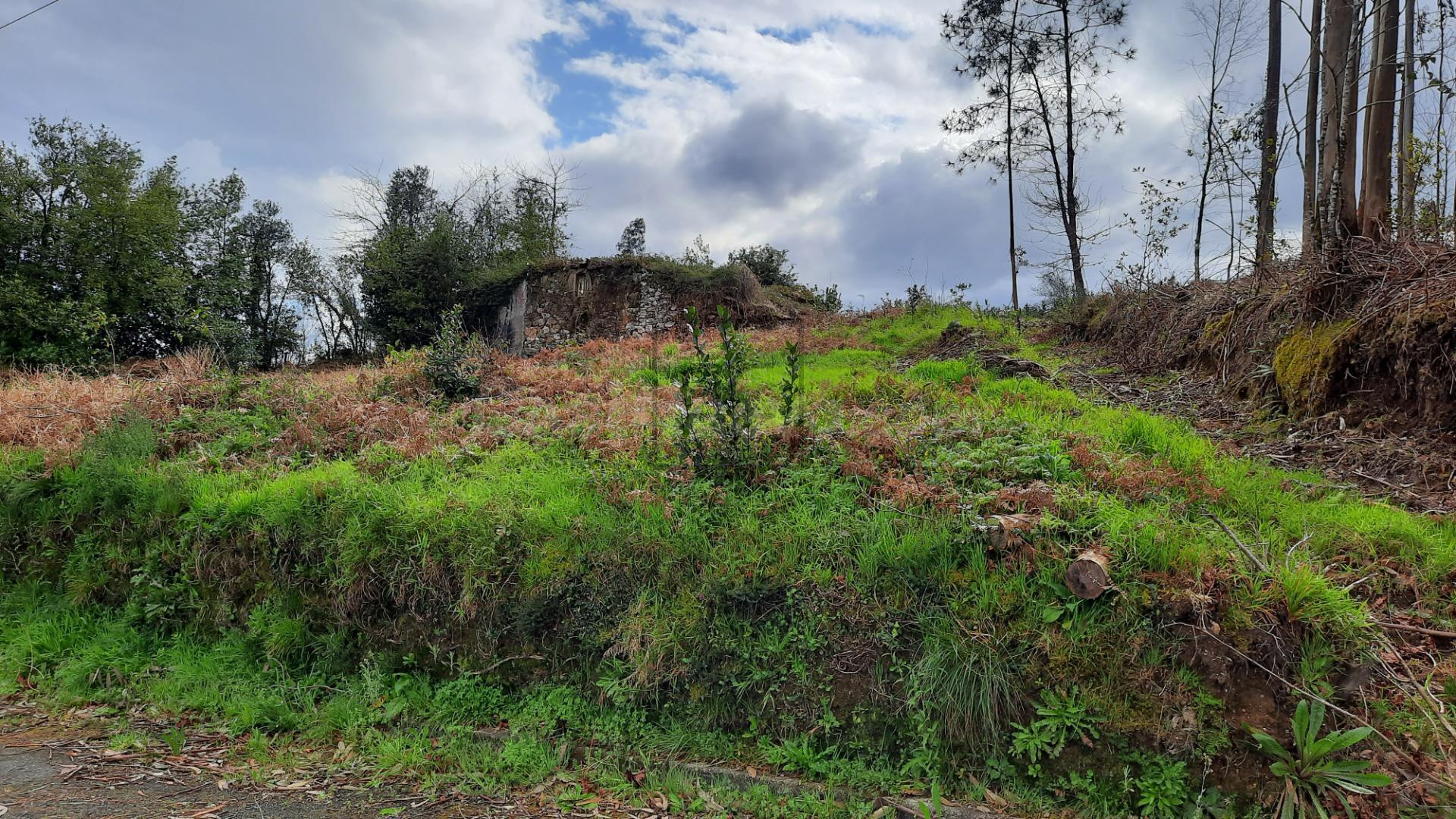 TERRENO URBANIZABLE PARA UNIFAMILAR EN CORNIDE - SAN SADURNI