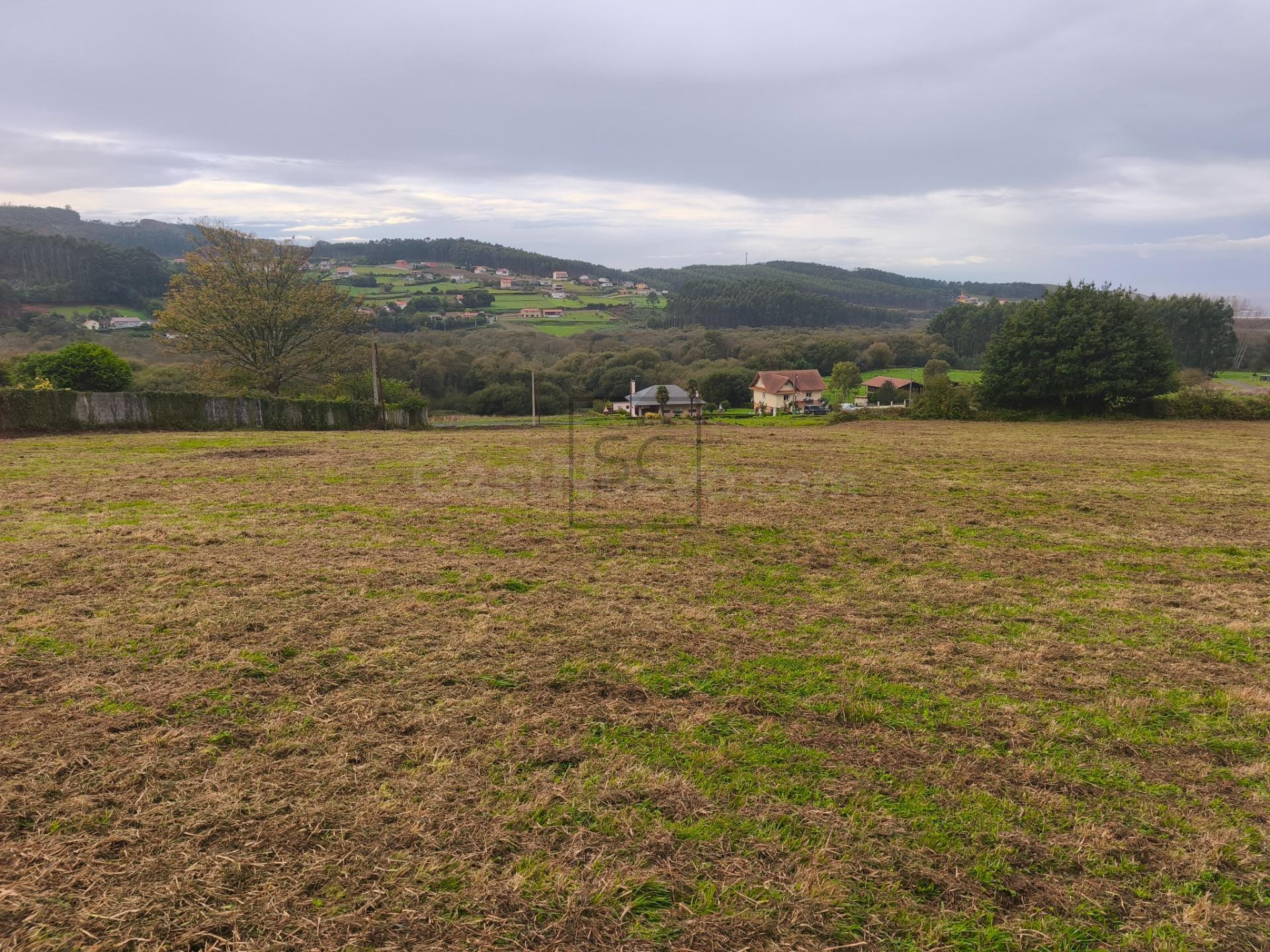 Finca edificable en Pantín, Valdoviño. - foto 4