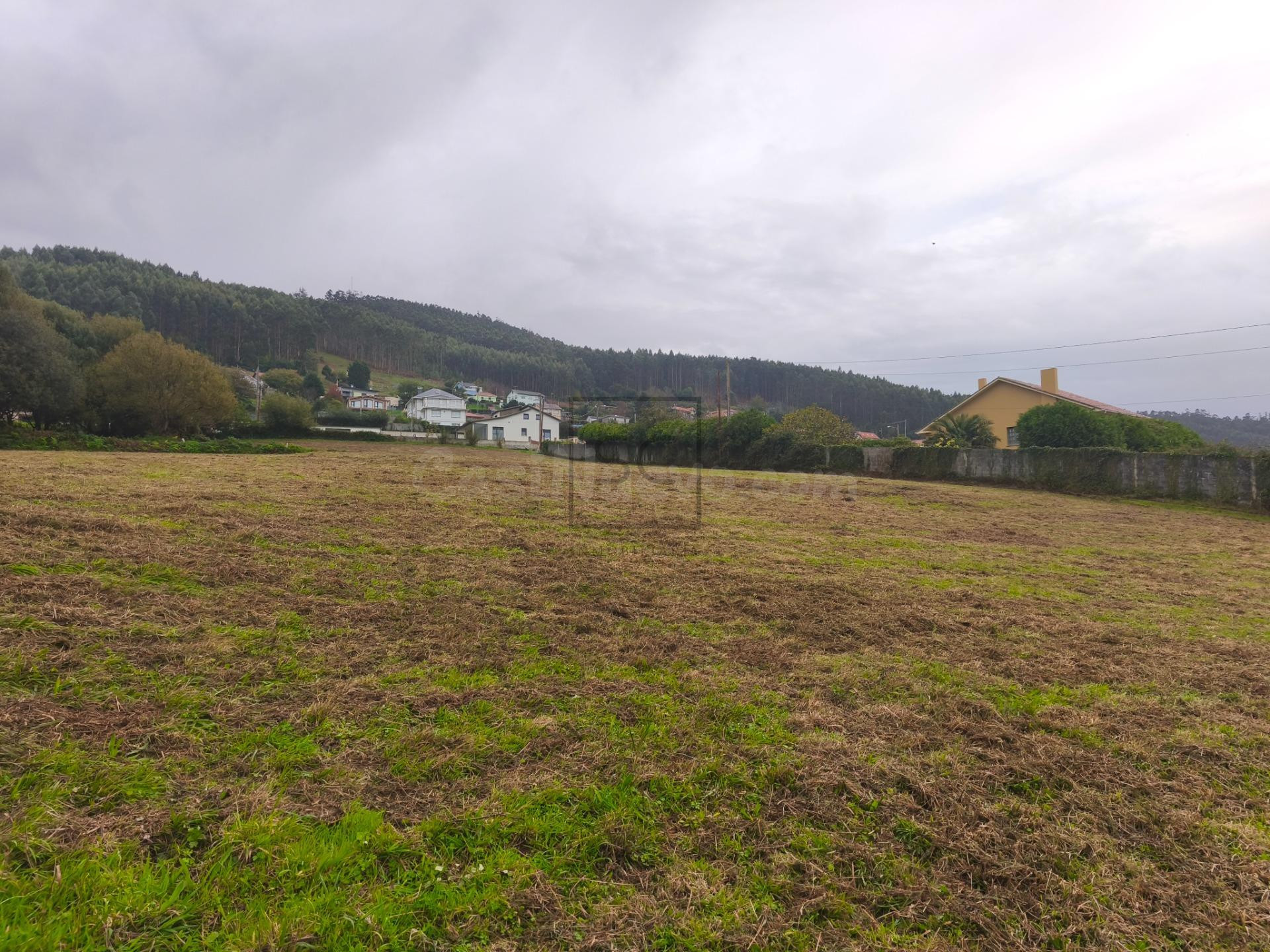 Finca edificable en Pantín, Valdoviño. - foto 5