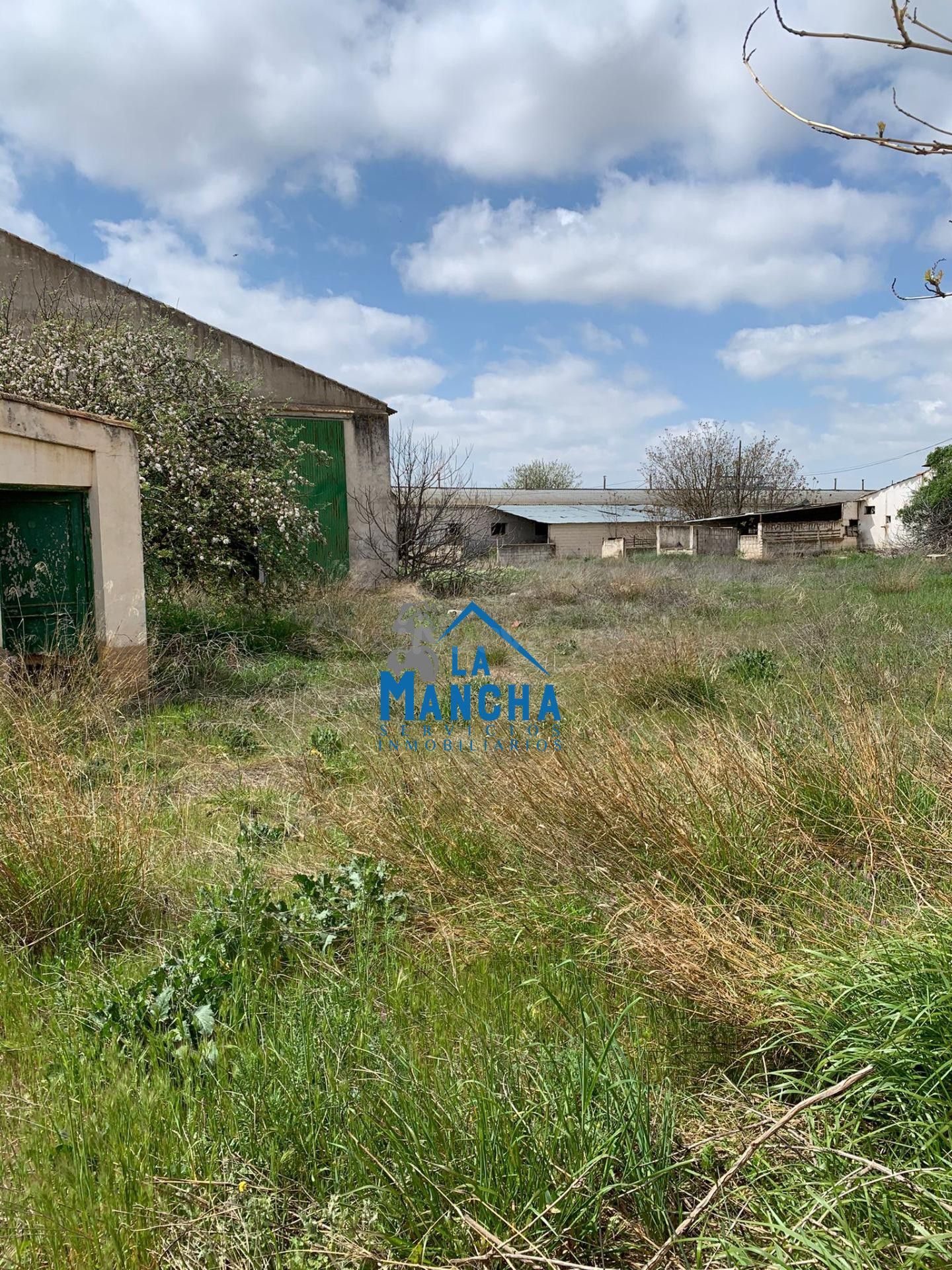INMOBILIARIA LA MANCHA VENDE TERRENO/PARCELA EN LA GINETA - foto 5