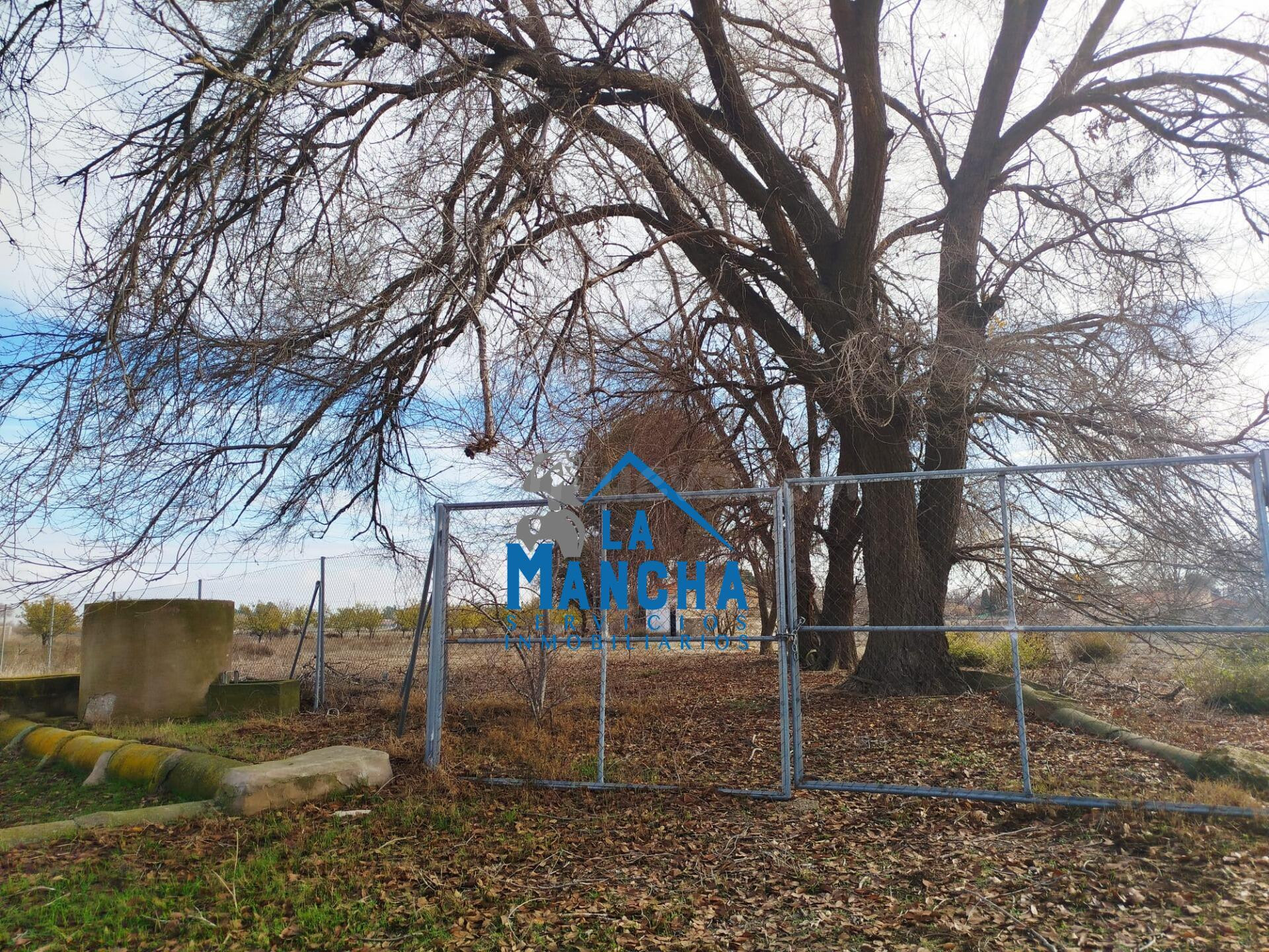 INMOBILIARIA LA MANCHA VENDE TERRENO RÚSTICO JUNTO A LA CIUD - foto 3