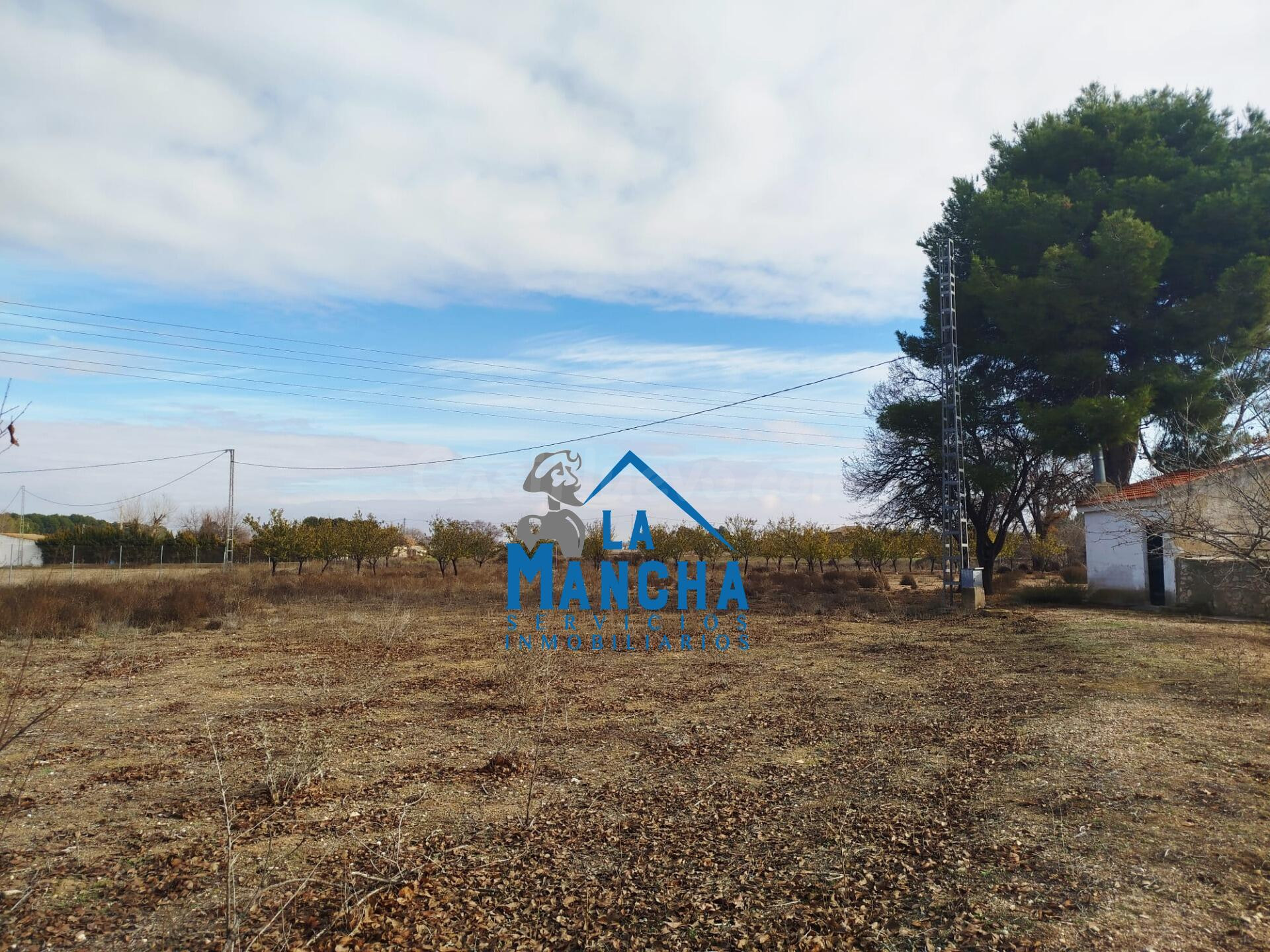INMOBILIARIA LA MANCHA VENDE TERRENO RÚSTICO JUNTO A LA CIUD - foto 4