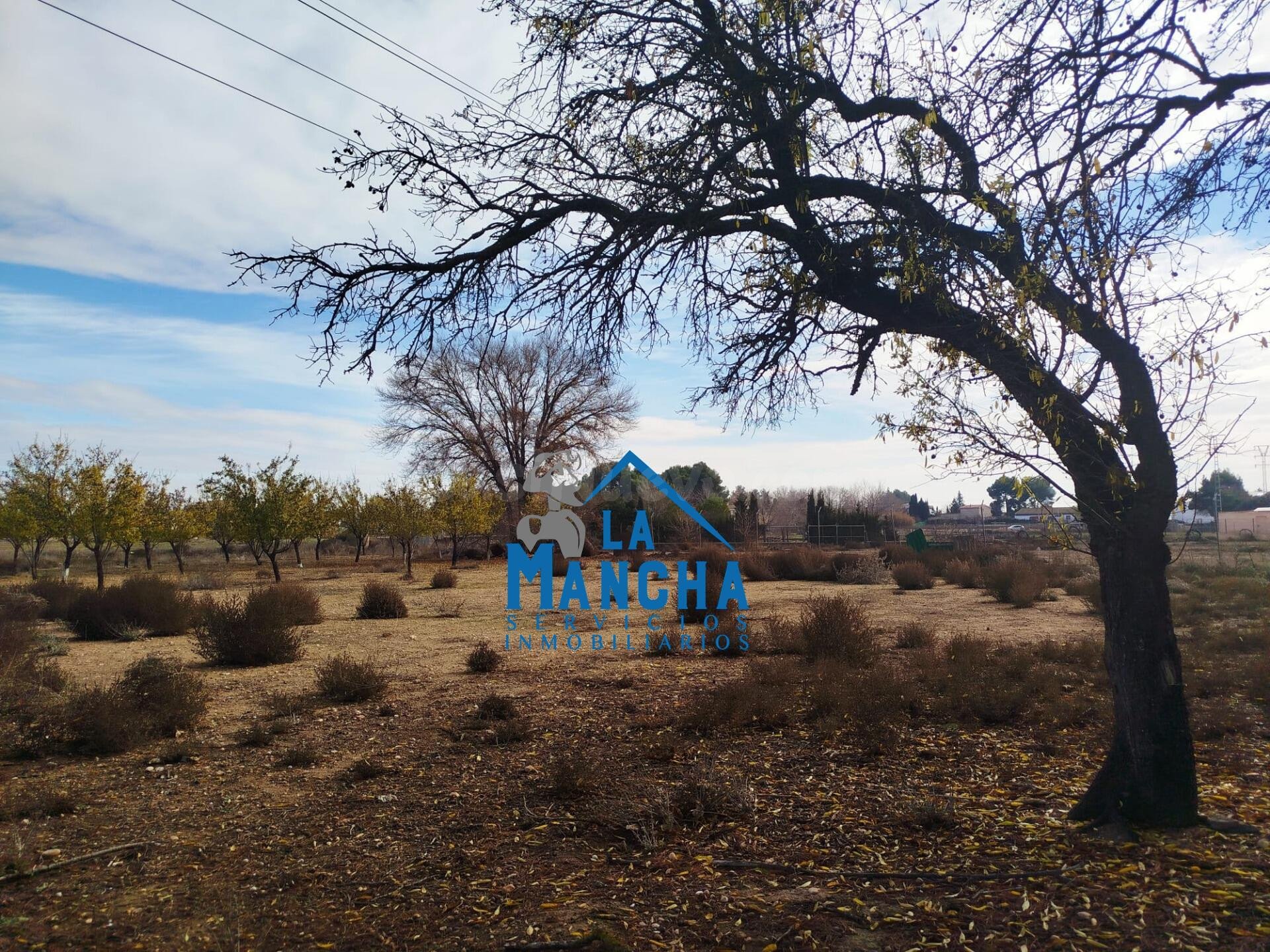 INMOBILIARIA LA MANCHA VENDE TERRENO RÚSTICO JUNTO A LA CIUD - foto 5