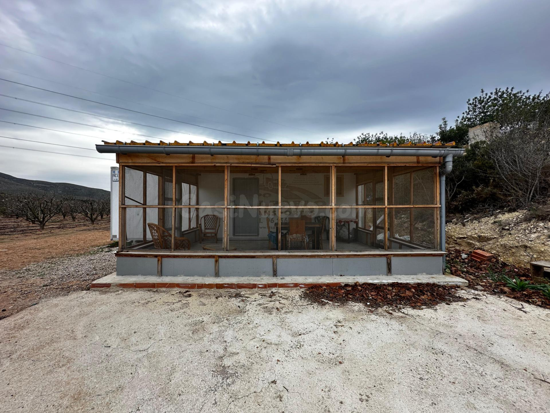 PARCELA DE KAKIS CON CONTENEDOR Y TERRAZA