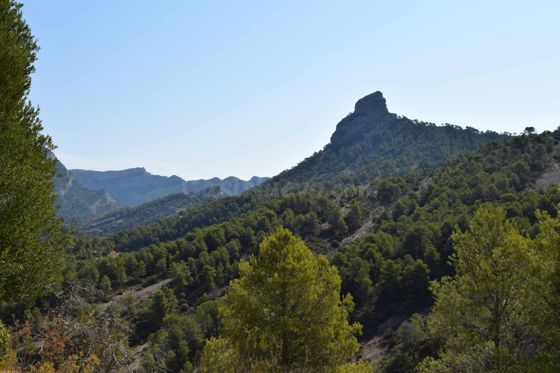 Masia para entrar a vivir en Bot - foto 3