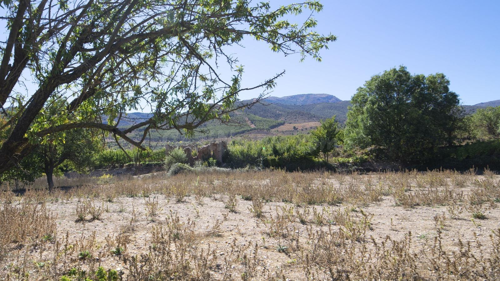 Exclusiva Finca en venta Fondón. ¡Con permiso de construcció