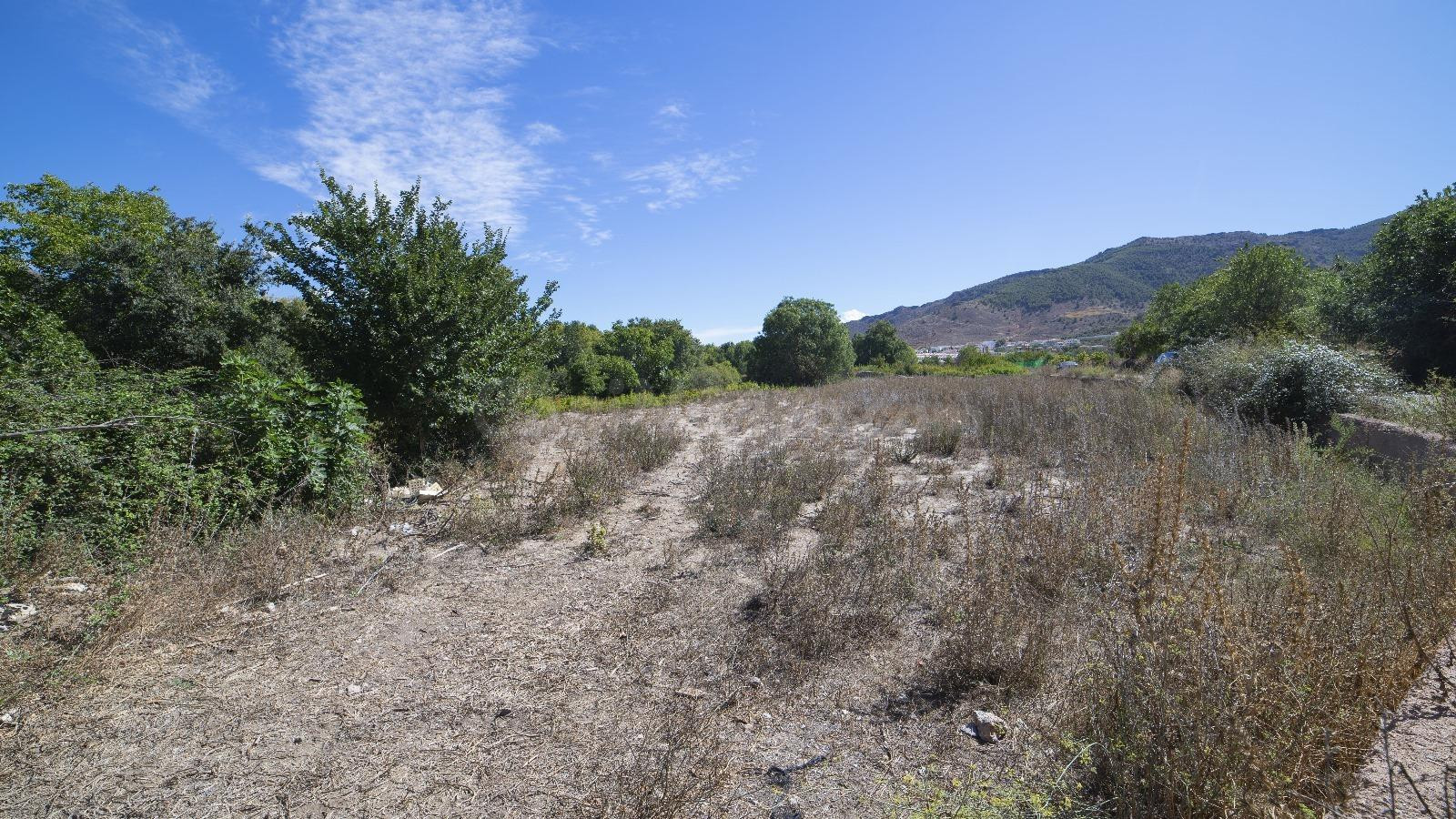 Exclusiva Finca en venta Fondón. ¡Con permiso de construcció - foto 4