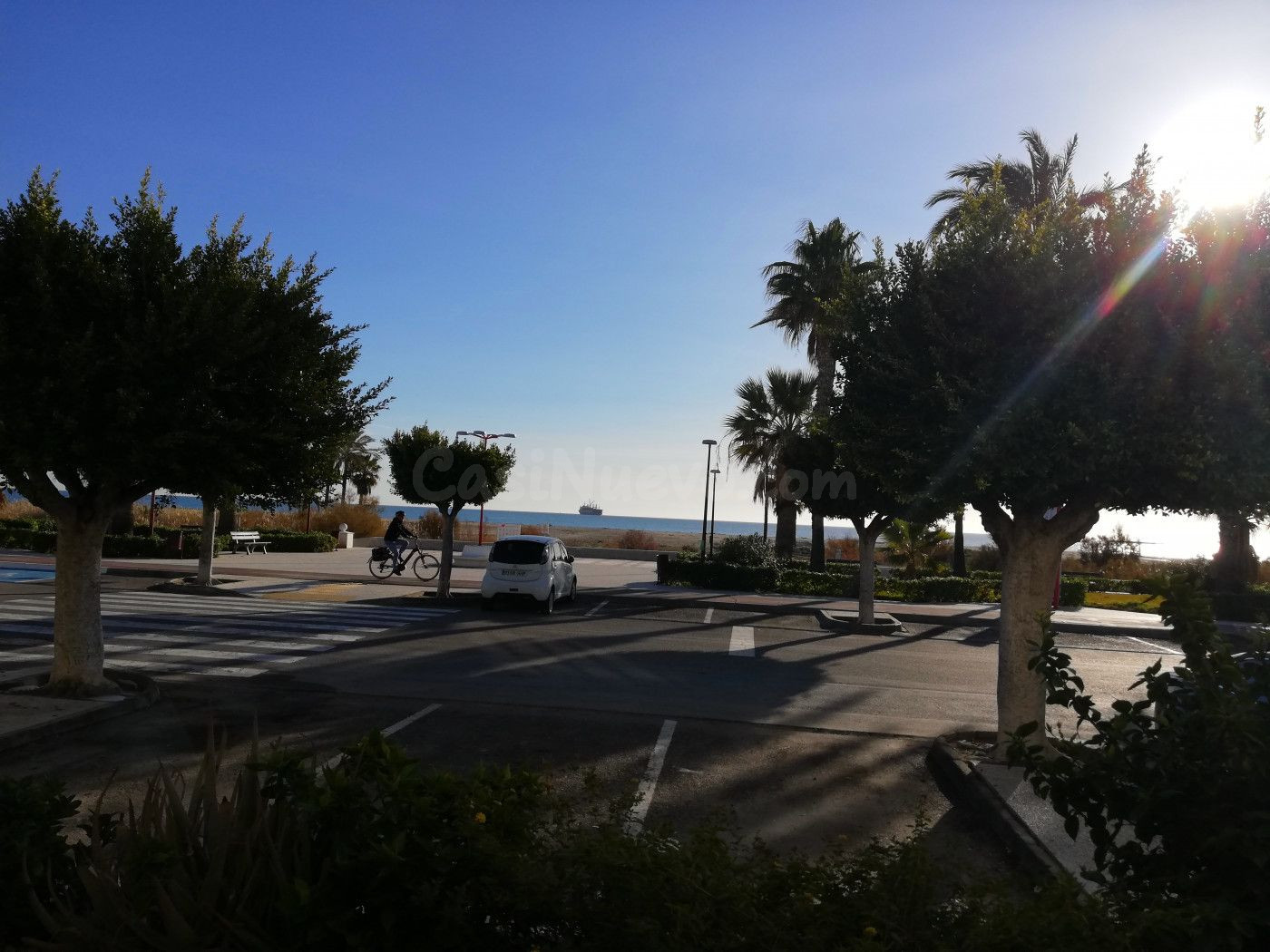 Local de 240 m2 frente al paseo en la zona de las Marinas, V