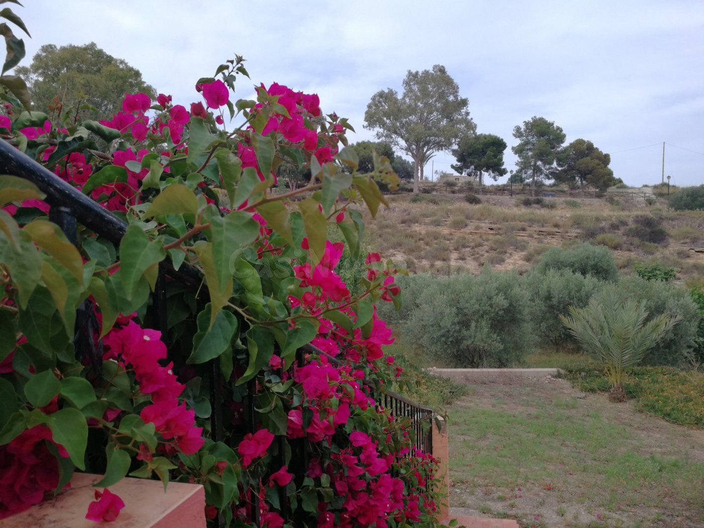 Casa del campo en Alfaix con terreno y arboles frutales - foto 2