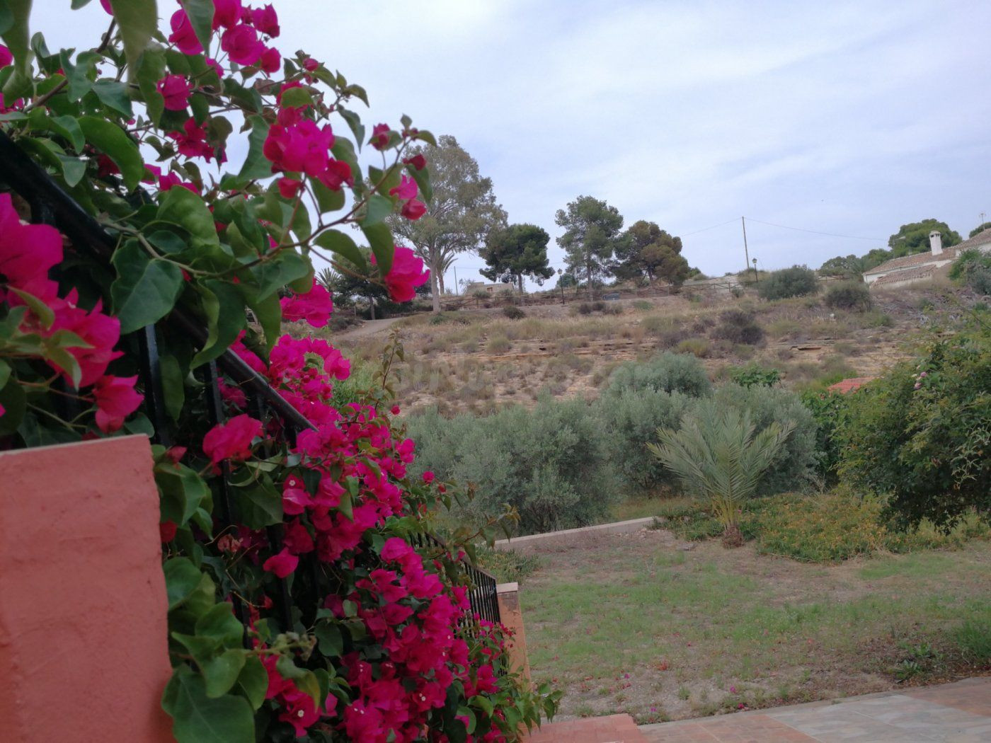Casa del campo en Alfaix con terreno y arboles frutales - foto 3