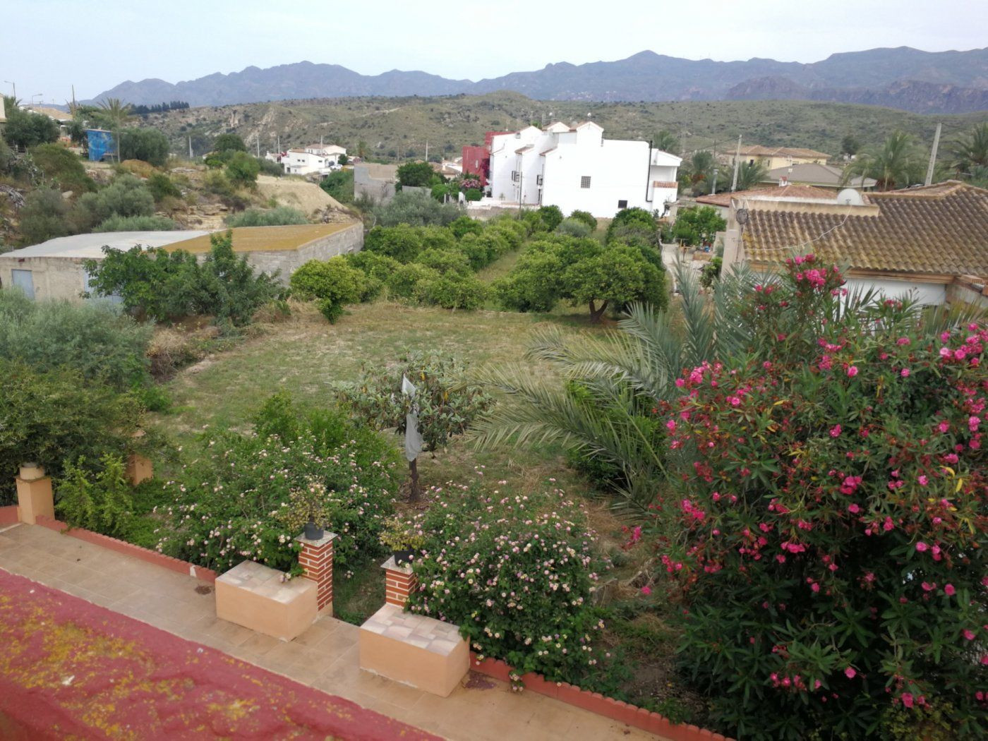 Casa del campo en Alfaix con terreno y arboles frutales - foto 4