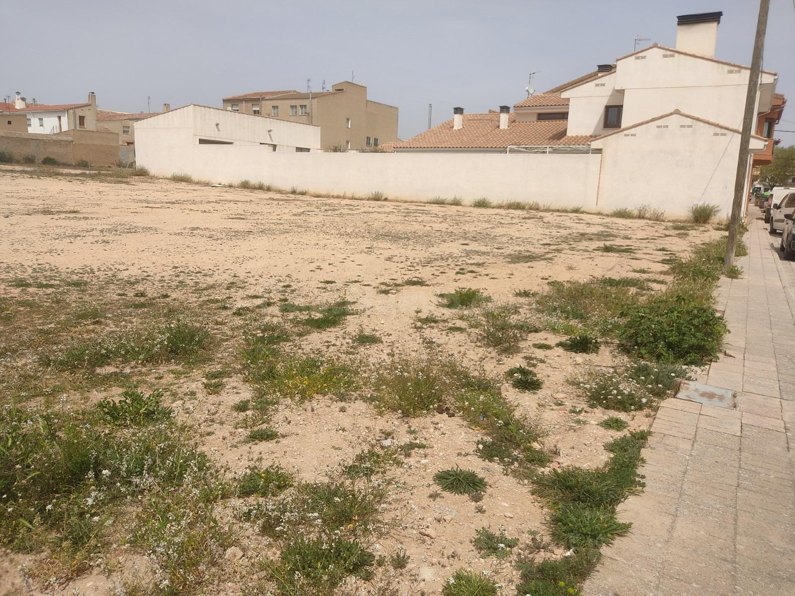 EXCELENTE SOLAR EN ALPERA EN UNA ubicación INMEJORABLA - foto 2