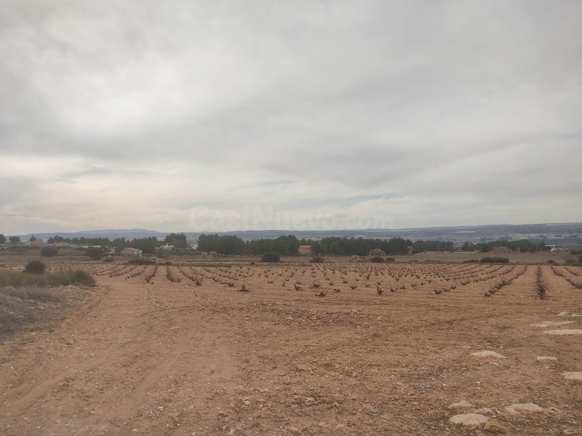 PARCELA DE 26.000 M2 EN ZONA SUGEL