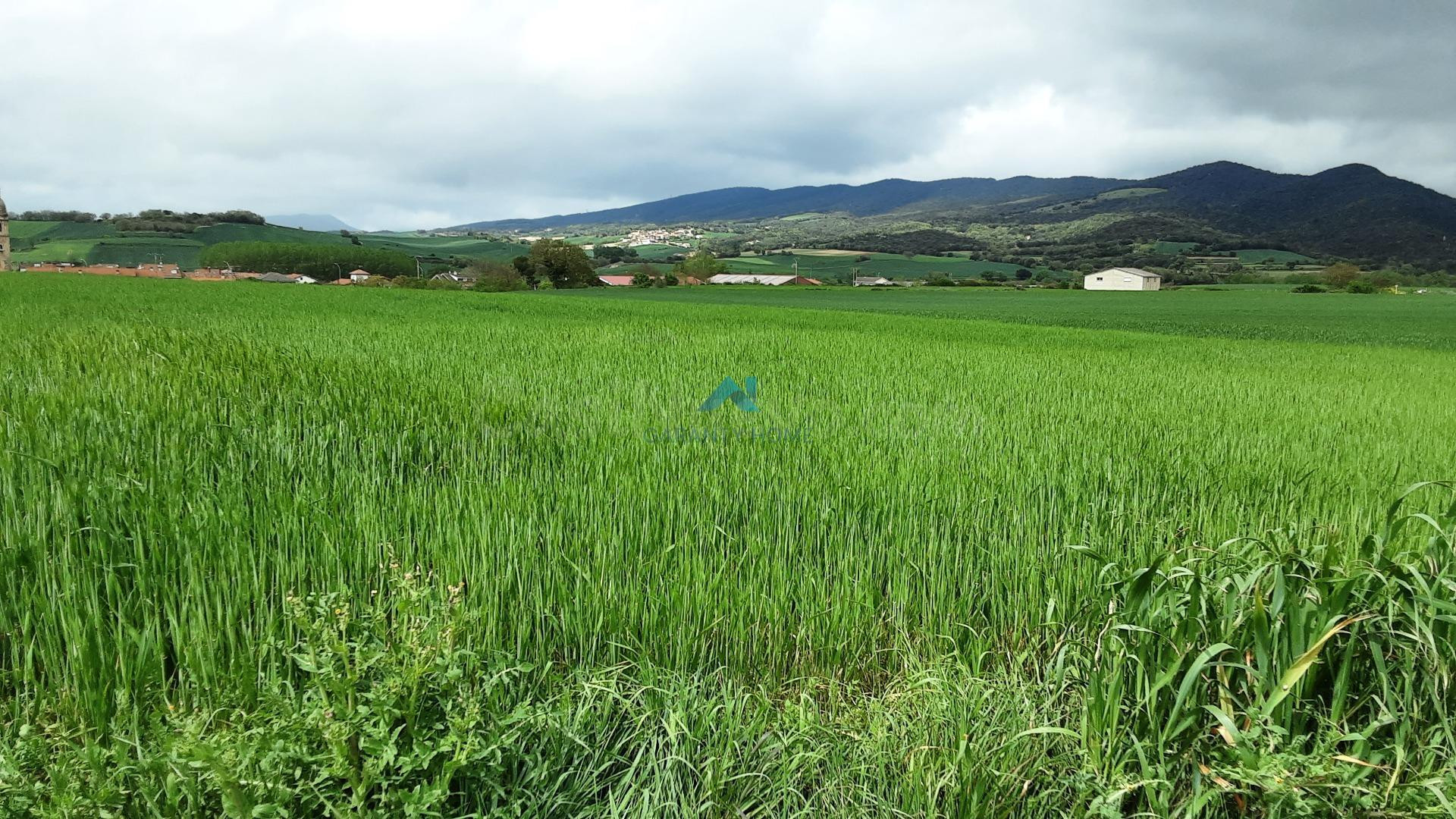 Se vende terreno industrial en La Puebla de Arganzón - foto 2