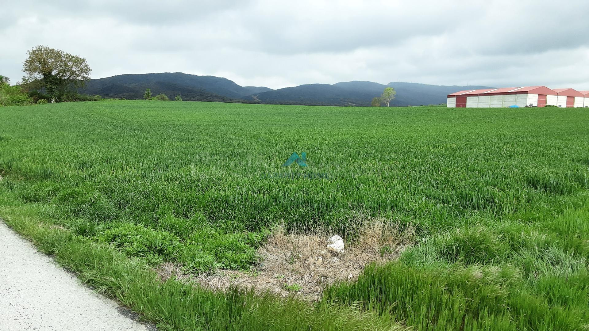 Se vende terreno industrial en La Puebla de Arganzón - foto 4