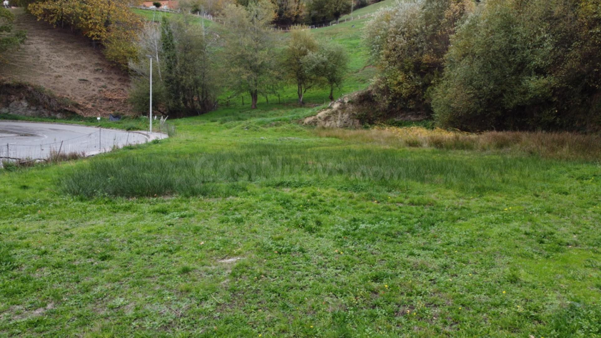 Solar para edificación en Altura en Tineo Centro - foto 5