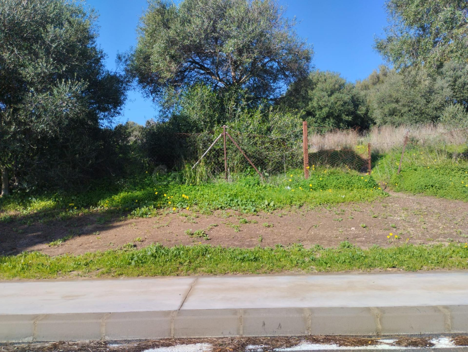 Se vende terreno urbano - foto 4