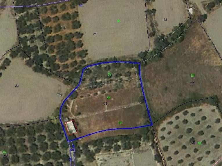 Se vende parcela cerca del pueblo - foto 4
