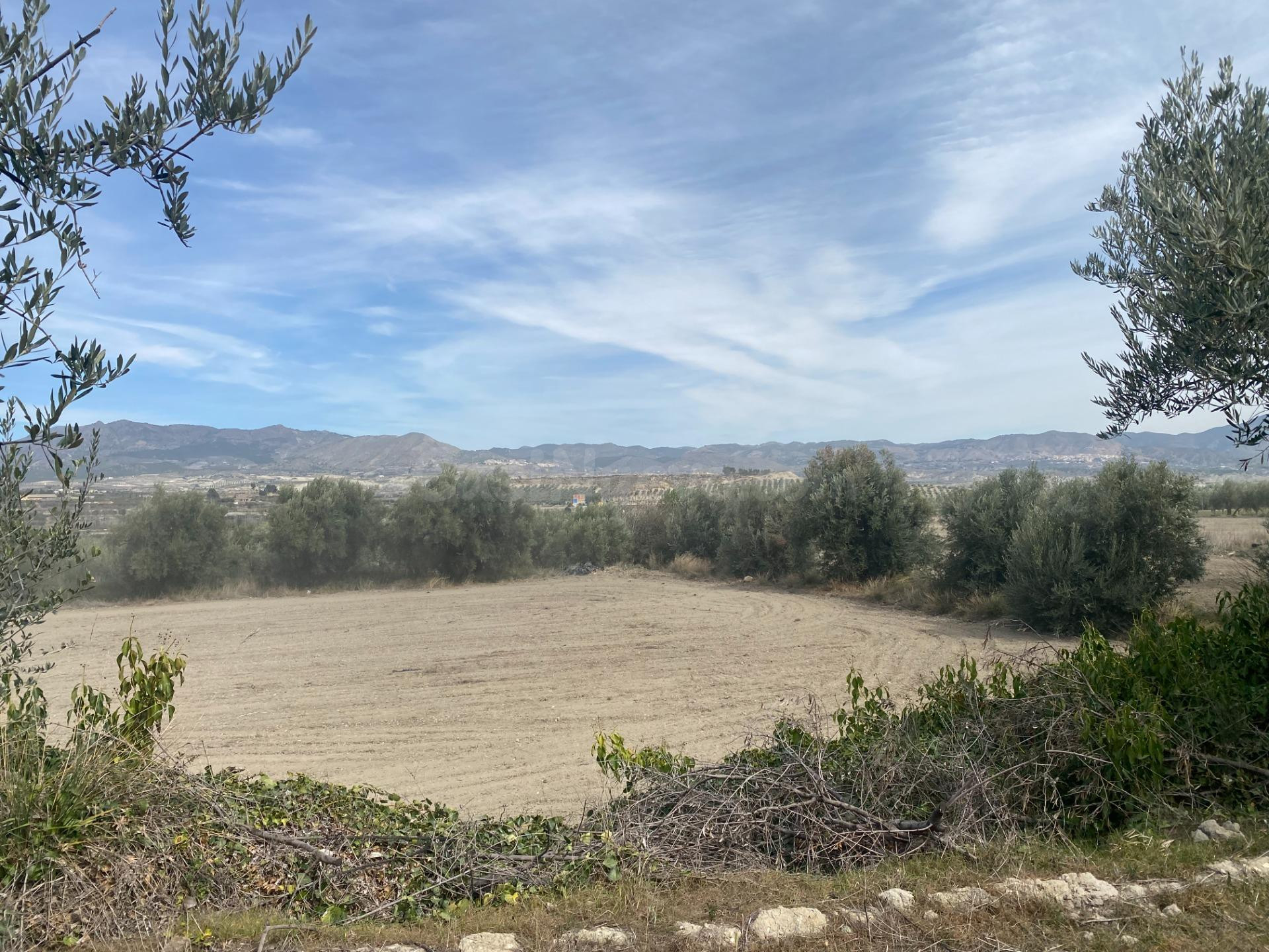 Se vende parcela cerca del pueblo - foto 5