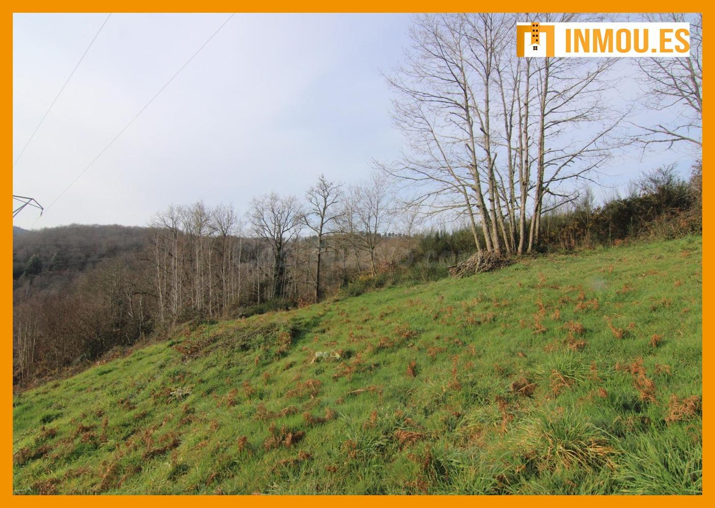 Se vende terreno urbanizable en Rial, Celanova. - foto 4